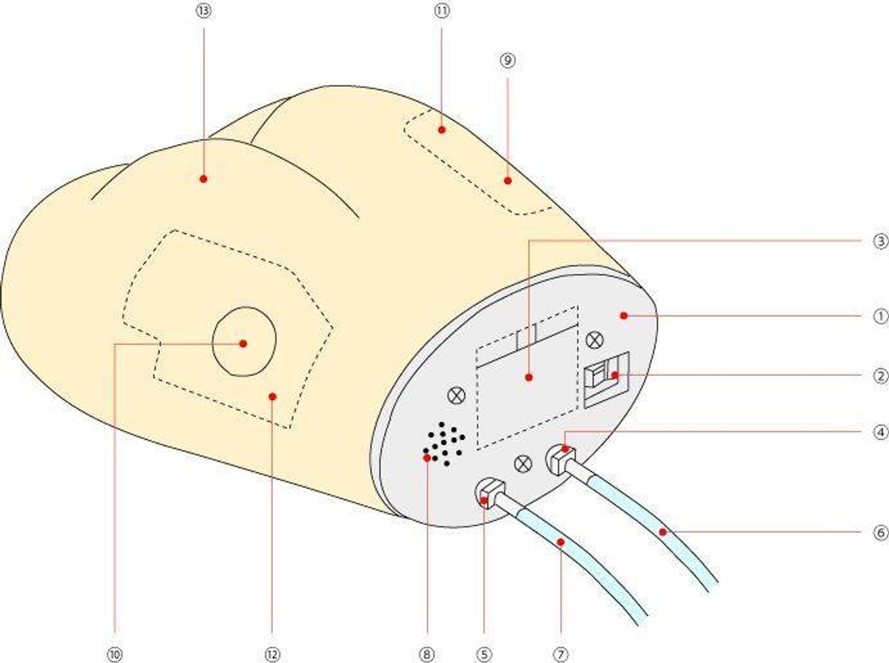 KOKEN Gluteal Intramuscular Injection Model