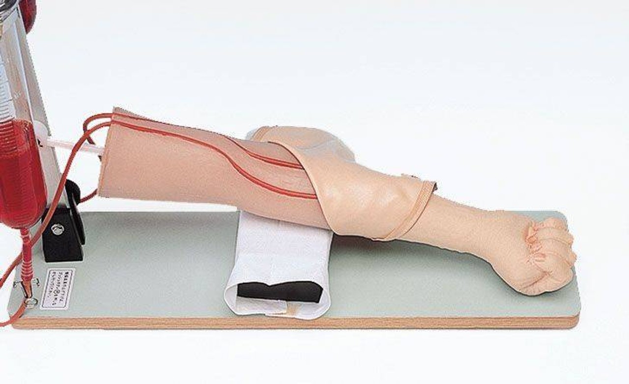 KOKEN Injection and Blood Sampling Practice Model Type 1