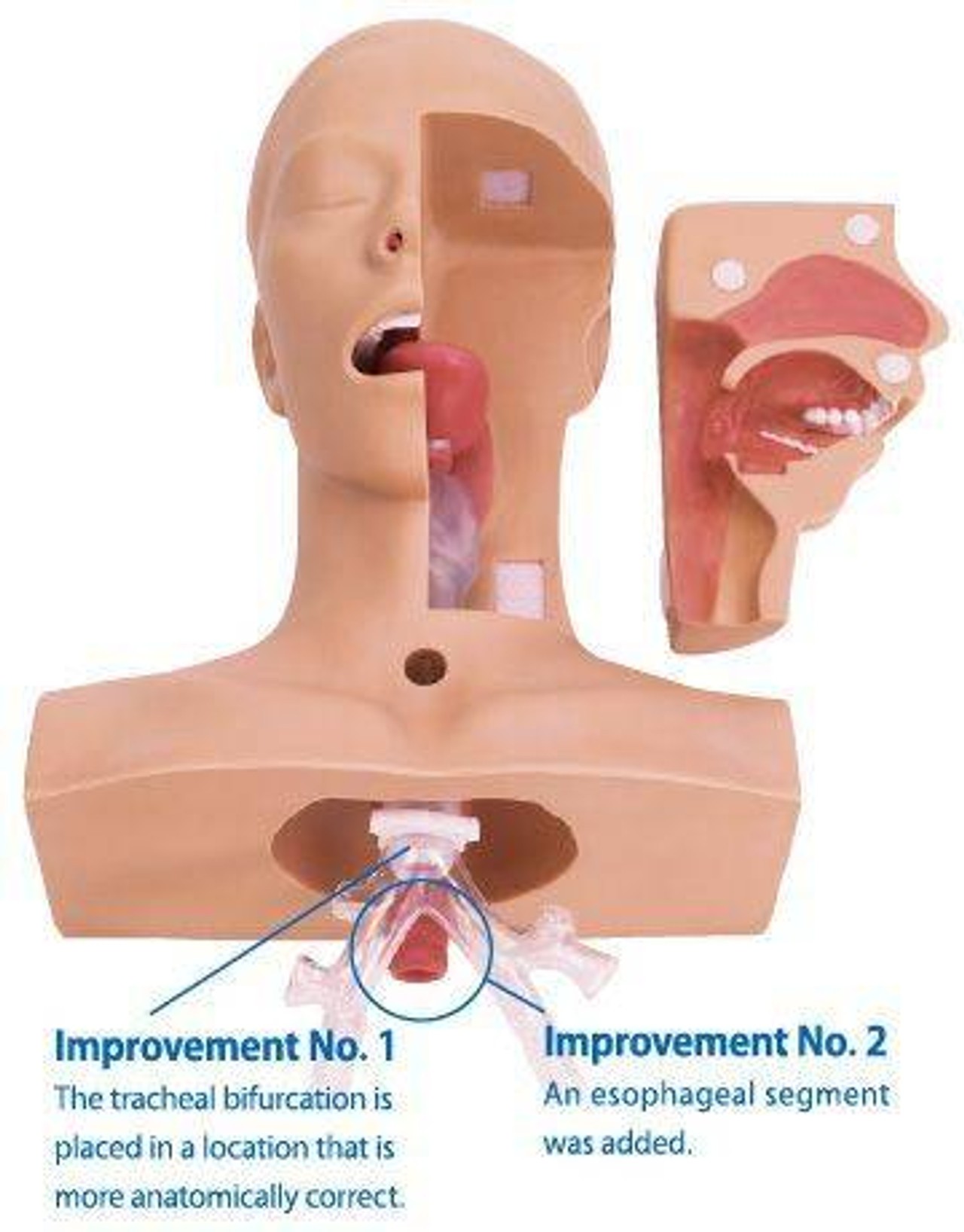 KOKEN Suctioning Training Model Type II