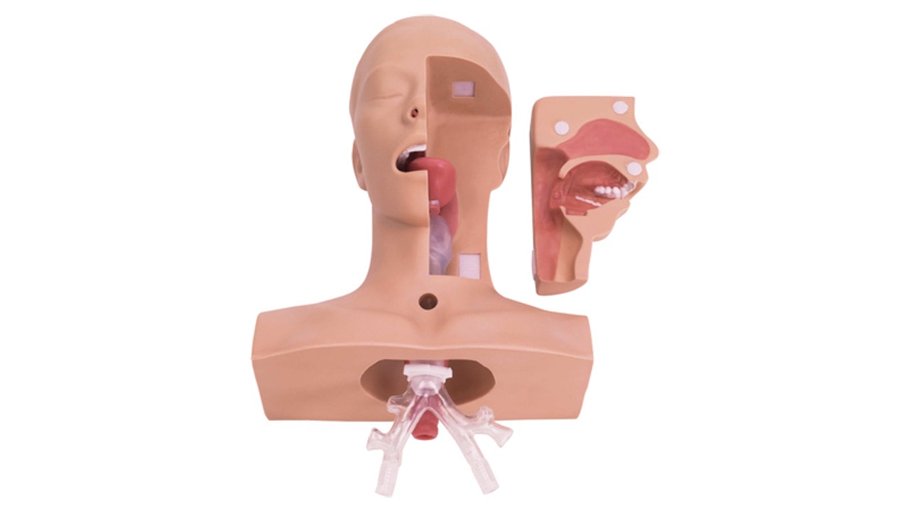KOKEN Suctioning Training Model Type II