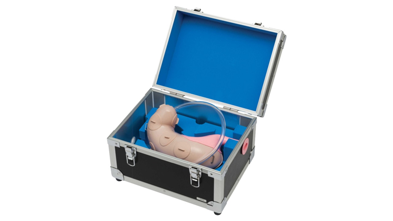 KOKEN Endoscopic Submucosal Dissection Training Model