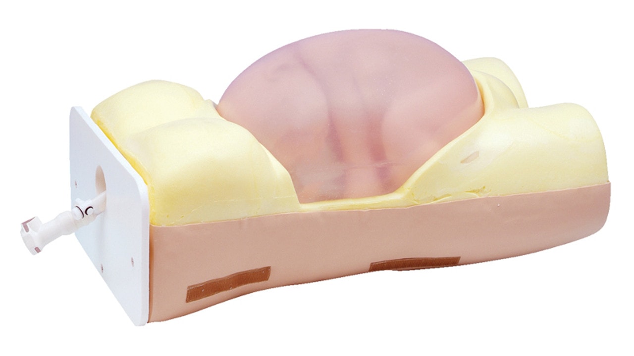 KOKEN ECV External Cephalic Version Model