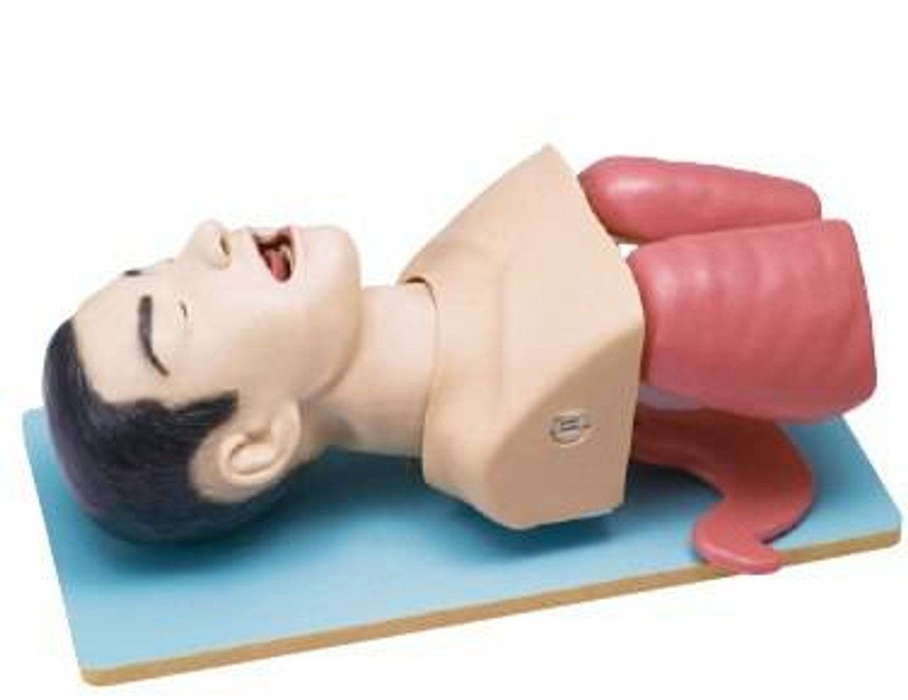 KOKEN Airway Management Model
