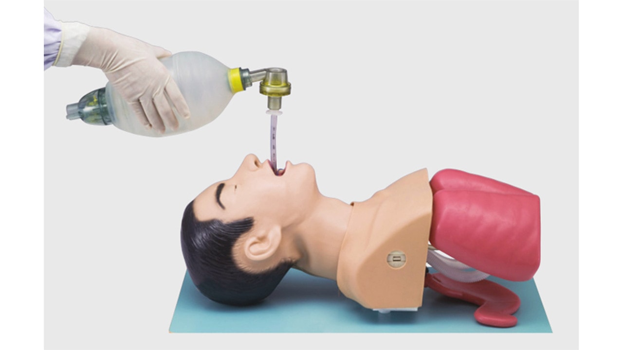 KOKEN Airway Management Model
