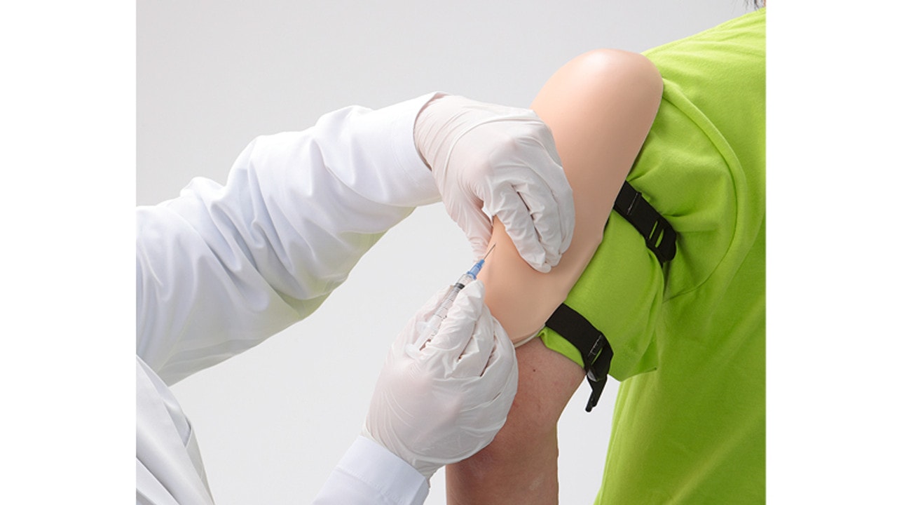 KOKEN Multipurpose Injection Training Arm Type 2 Intramuscular Injection Site