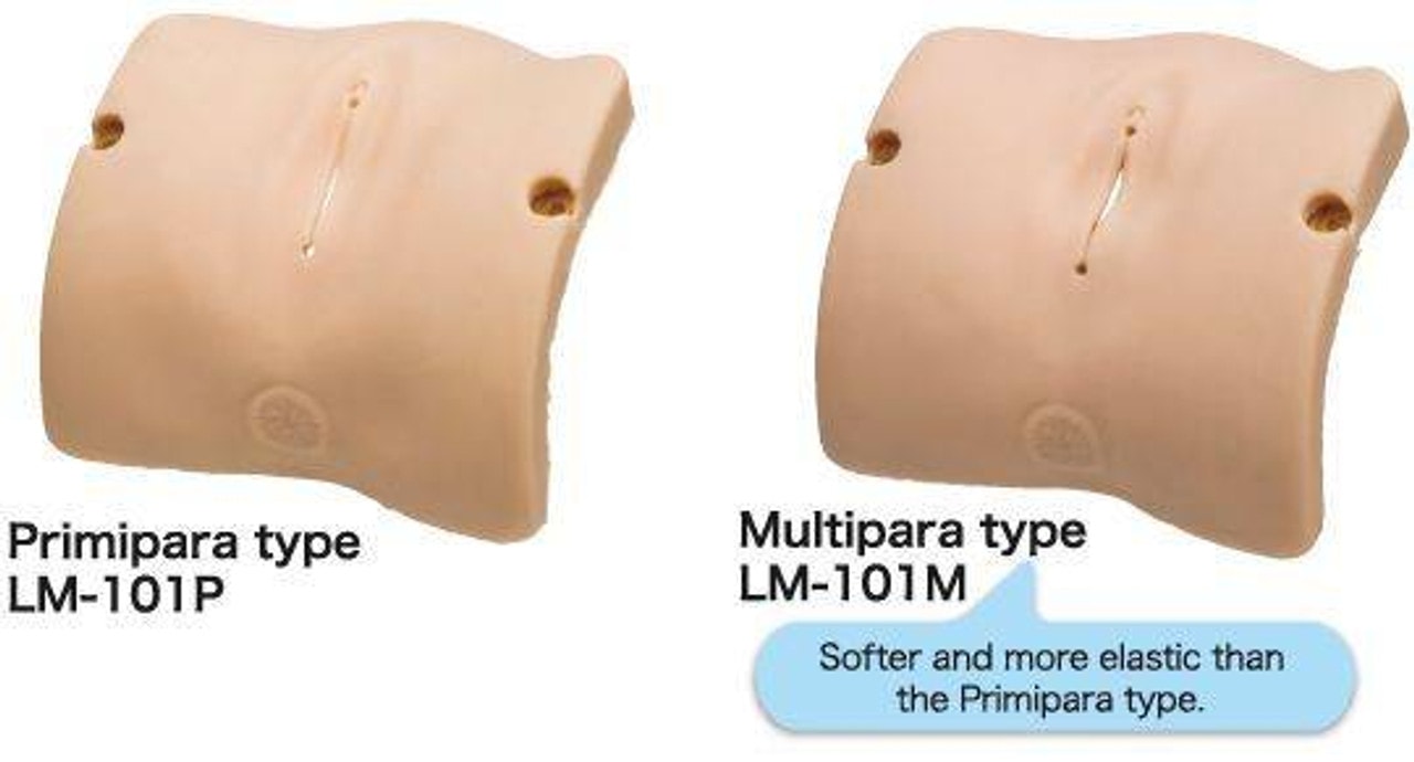 KOKEN Obstetric Model Vulva II Primipara Type