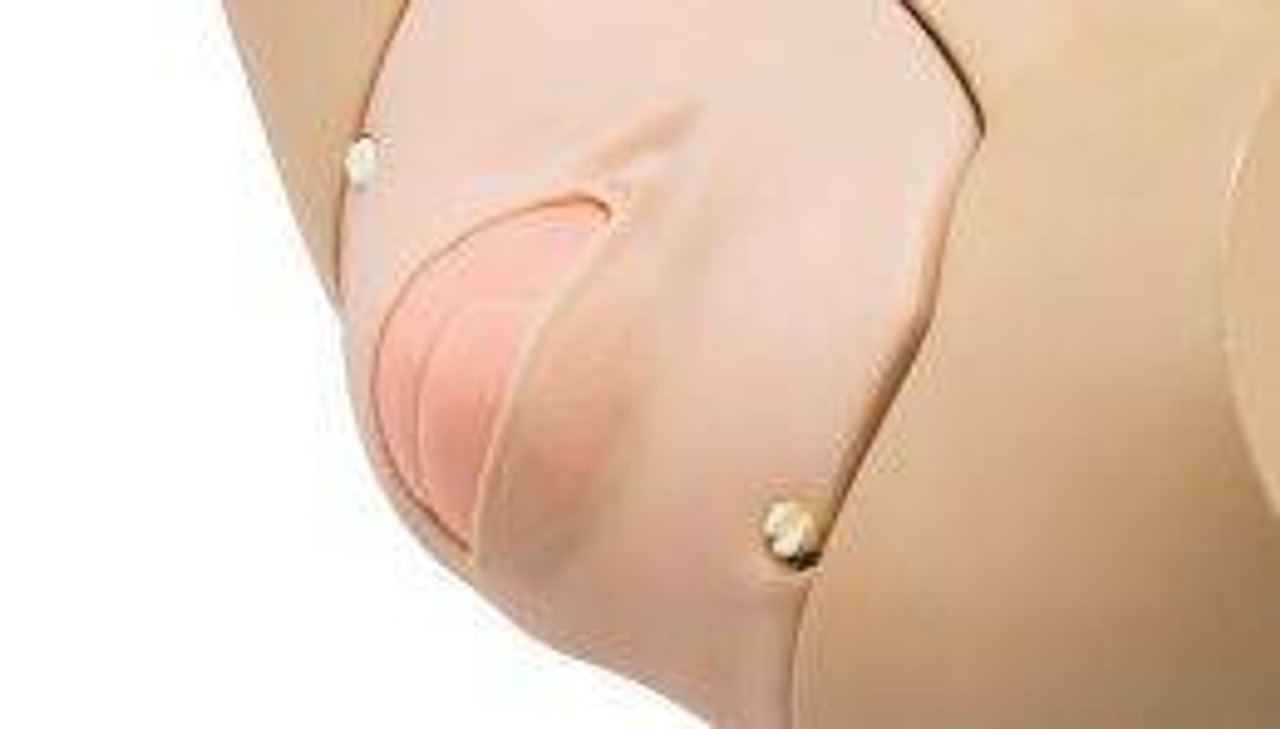 KOKEN Obstetric Model Vulva II Primipara Type