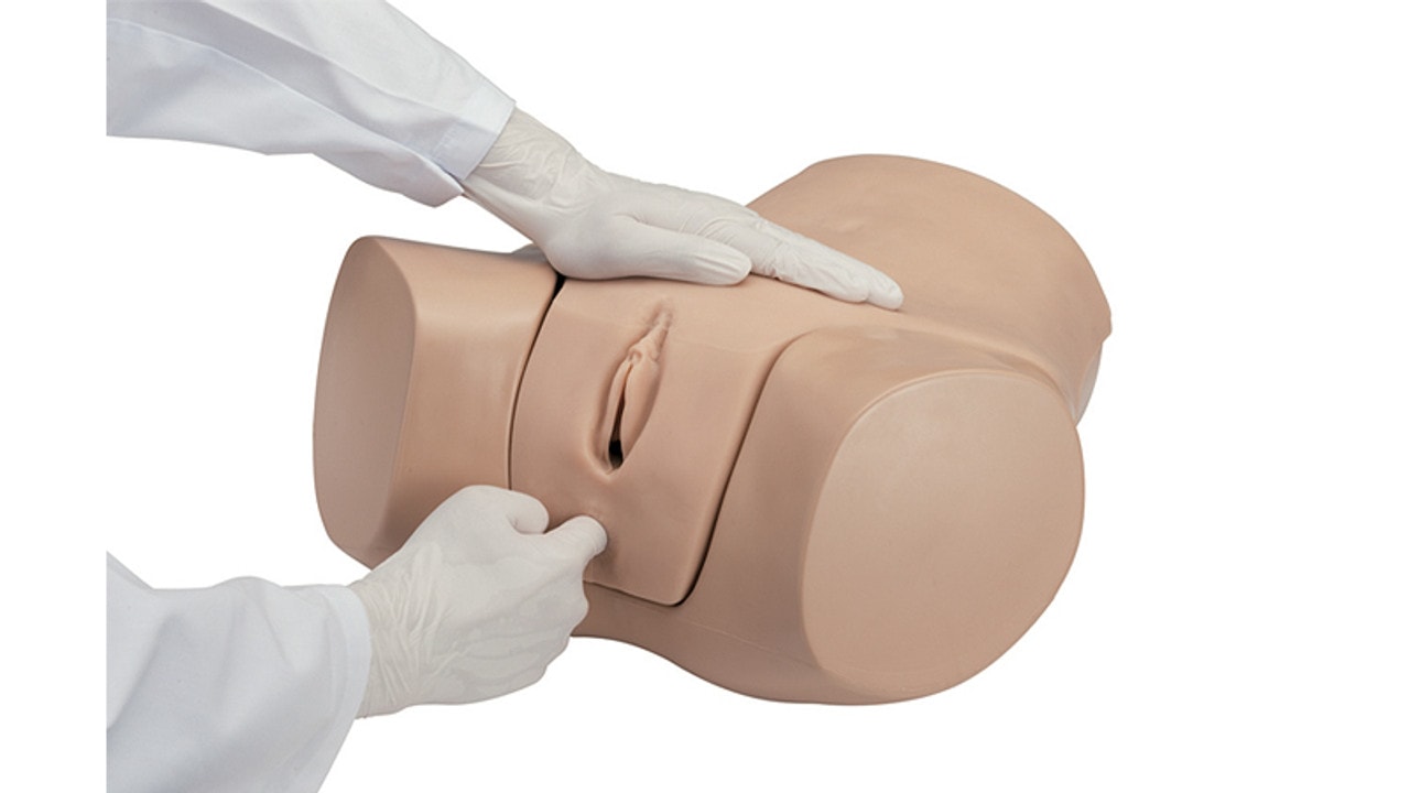 KOKEN Gynecological Examination Simulator Rectal Examination