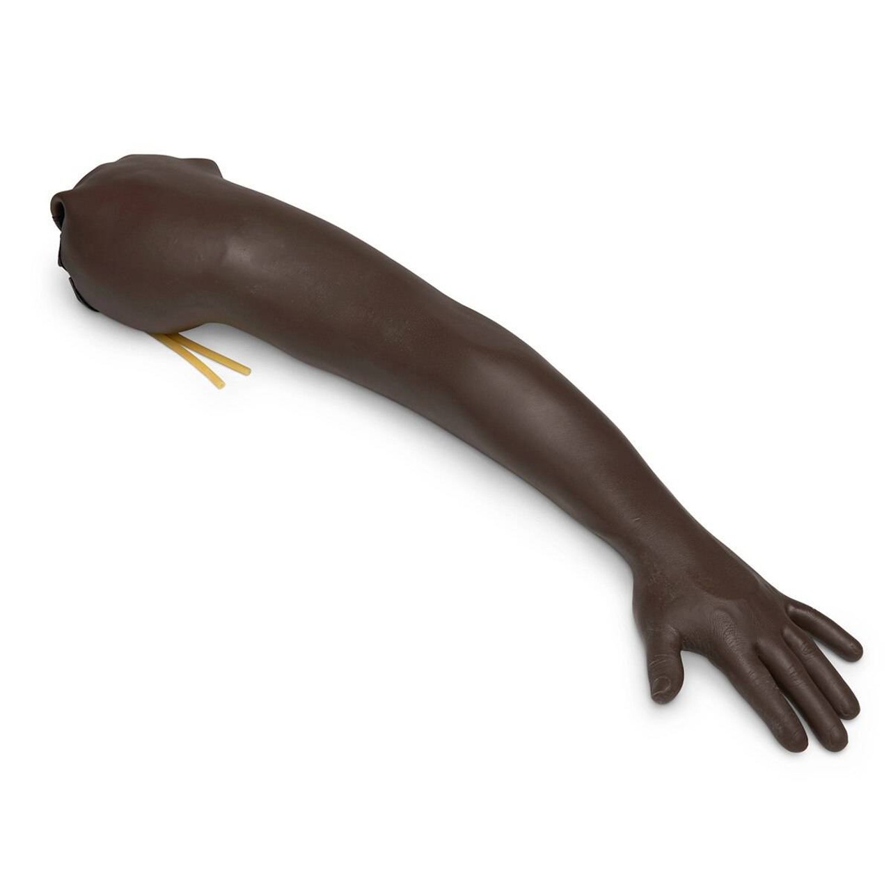 Life/form Adult Venipuncture and Injection Training Arm - Dark