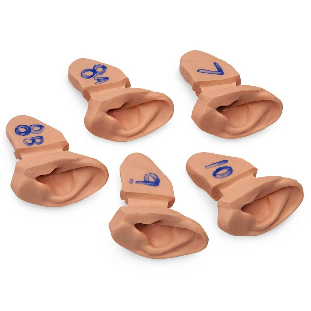 Life/form Ear Examination Supplementary Set of Ear Replicas for Advanced Training