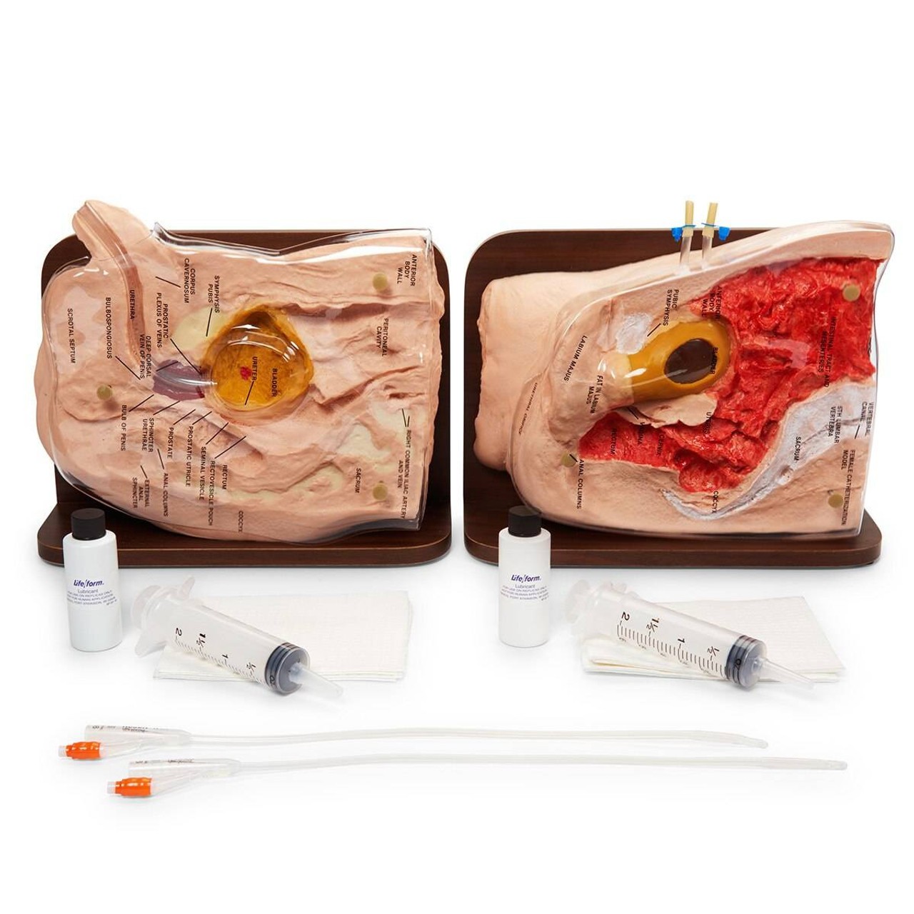 Special Offer for Both Life/form Cath-Ed 1 and Cath-Ed 2 Simulators