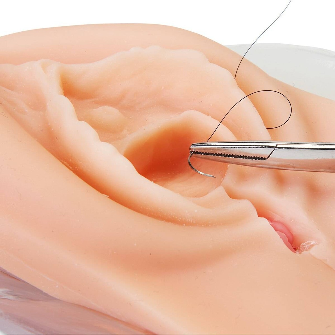 Life/form Episiotomy and Perineal Laceration Training Kit