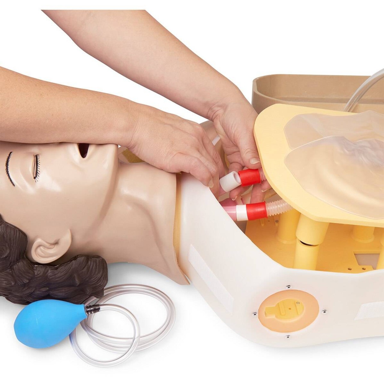 Life/form Adult Airway Management Trainer Manikin