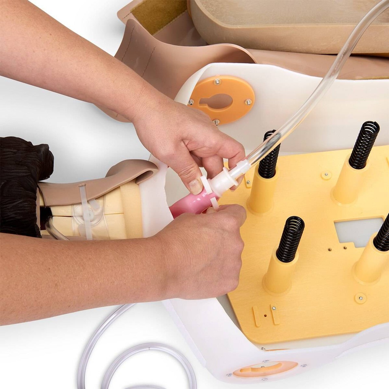 Life/form Adult Airway Management Trainer Manikin