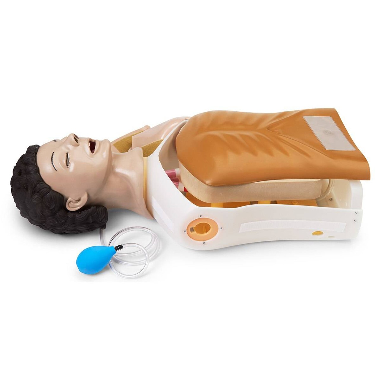 Life/form Adult Airway Management Trainer Manikin