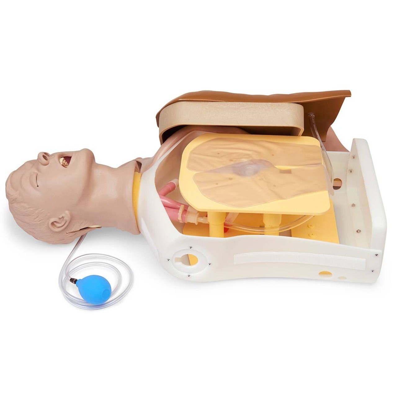 Life/form Advanced Airway Larry Airway Management Trainer Torso