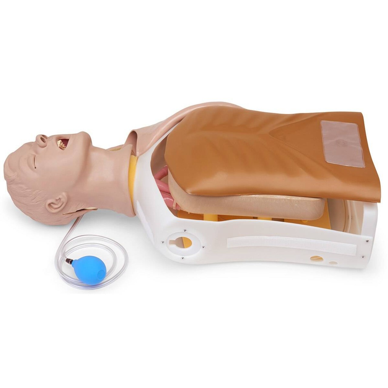 Life/form Advanced Airway Larry Airway Management Trainer Torso