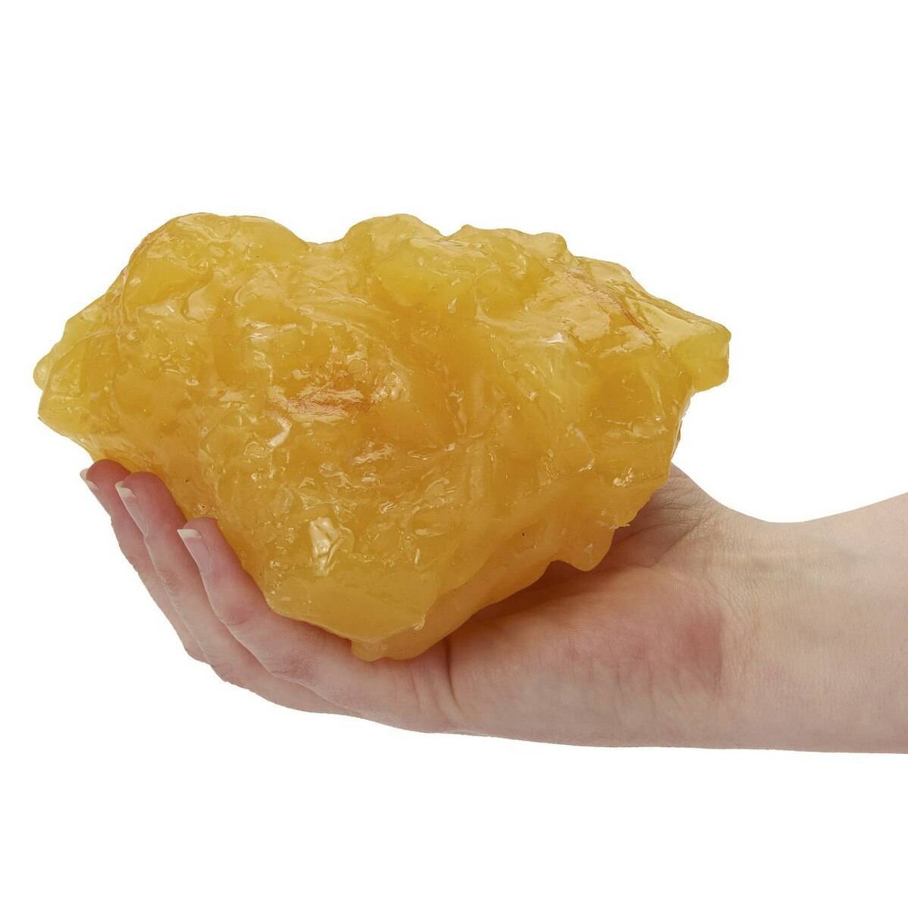 Nasco Body Fat Replica - 1-lb