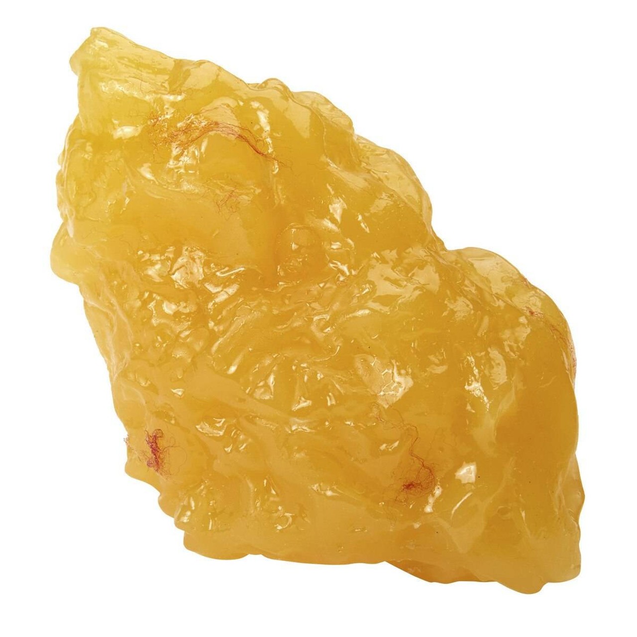 Nasco Body Fat Replica - 1-lb