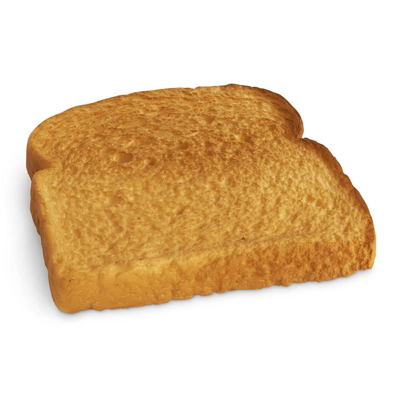 Nasco Bread Food Replica - Toasted White