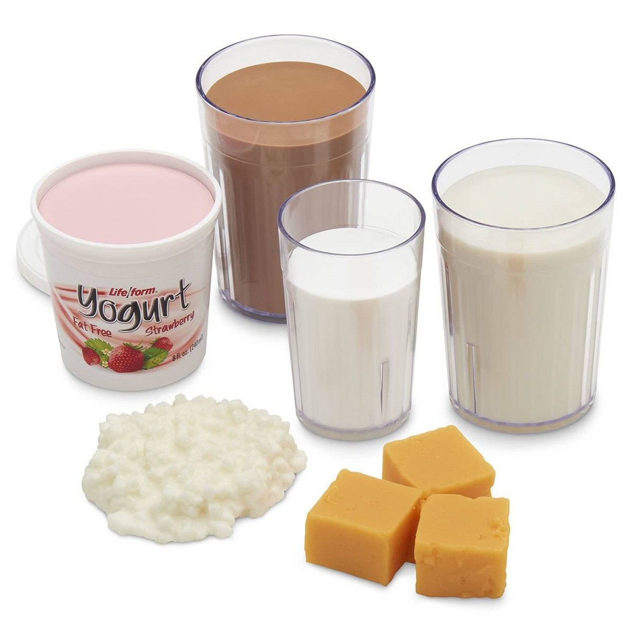 Nasco Basic Dairy Food Replica Kit