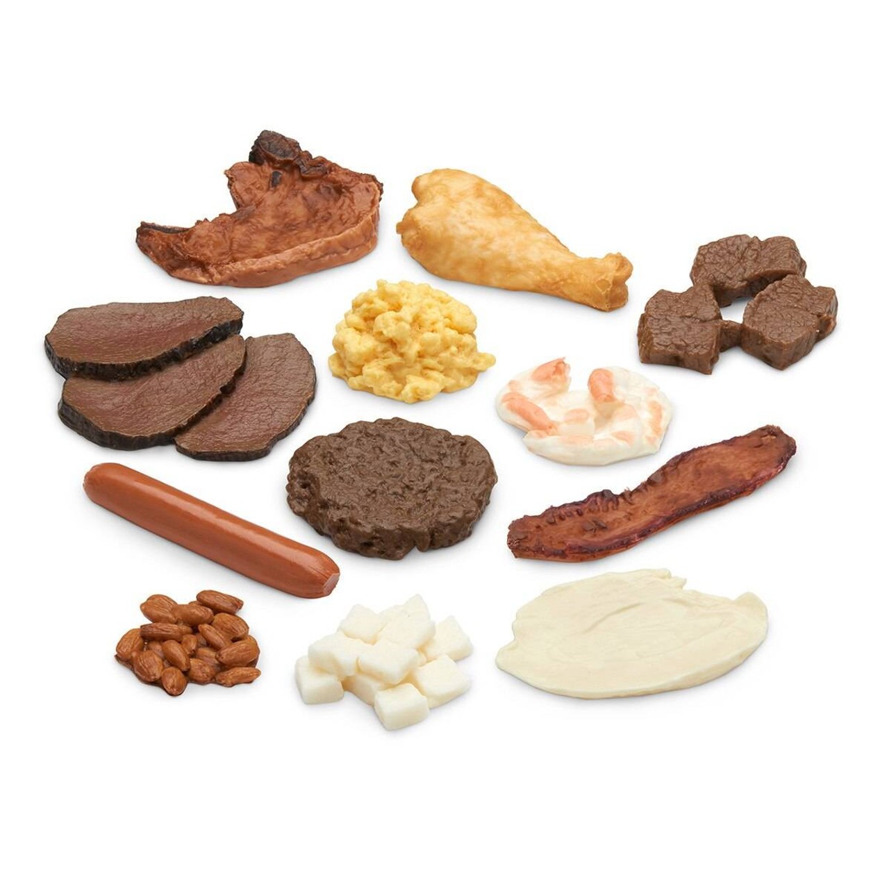 Nasco Big Protein Food Replica Kit
