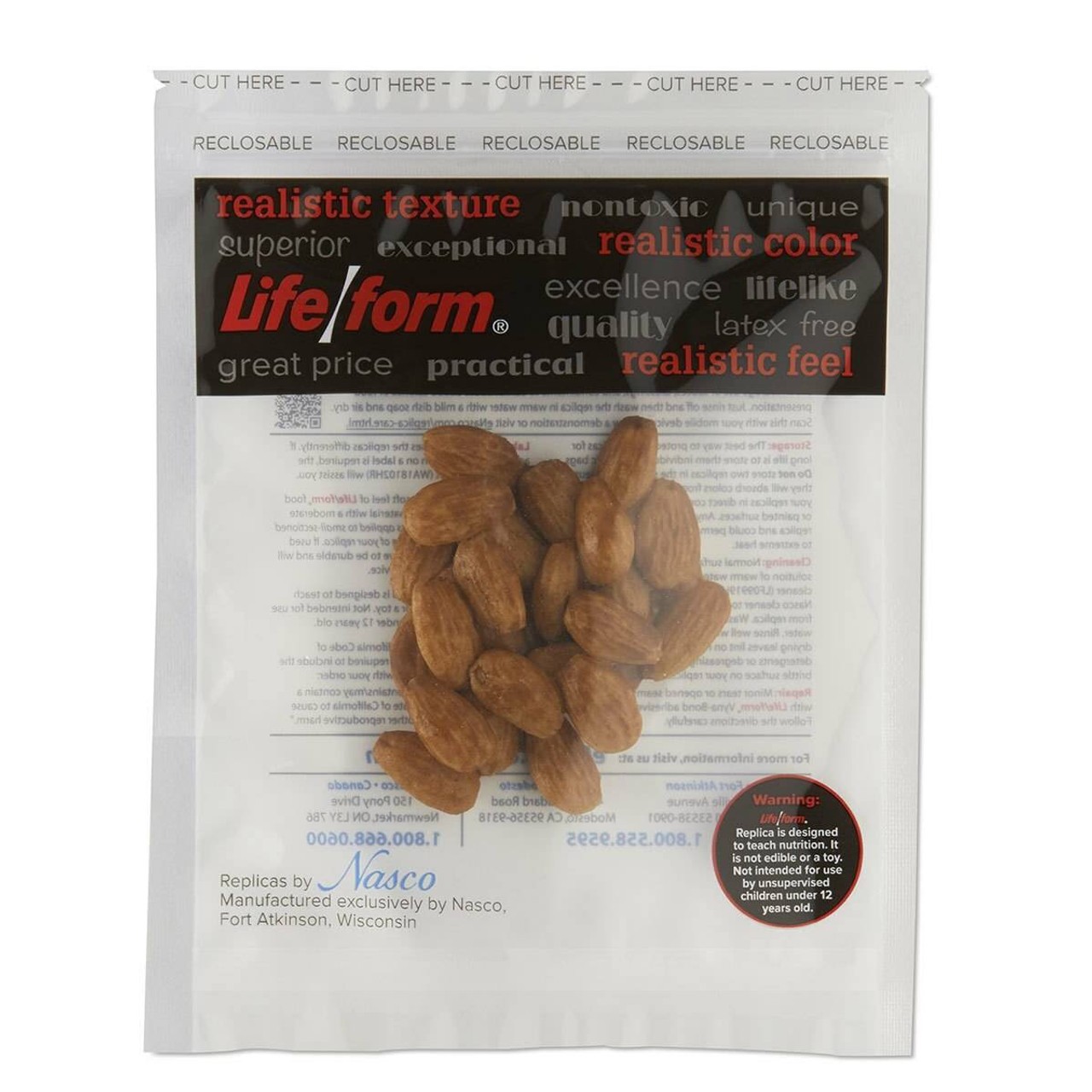 Nasco Almonds Food Replica