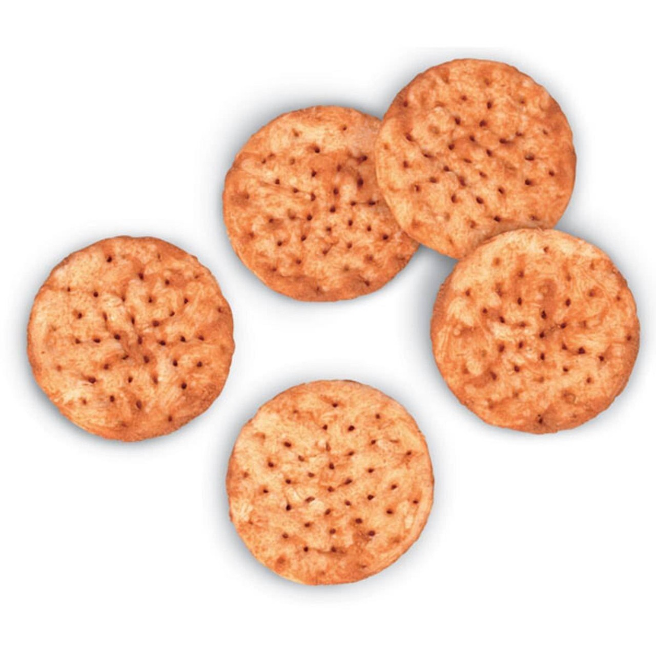 Nasco Crackers Food Replica - Whole Wheat - 5 count
