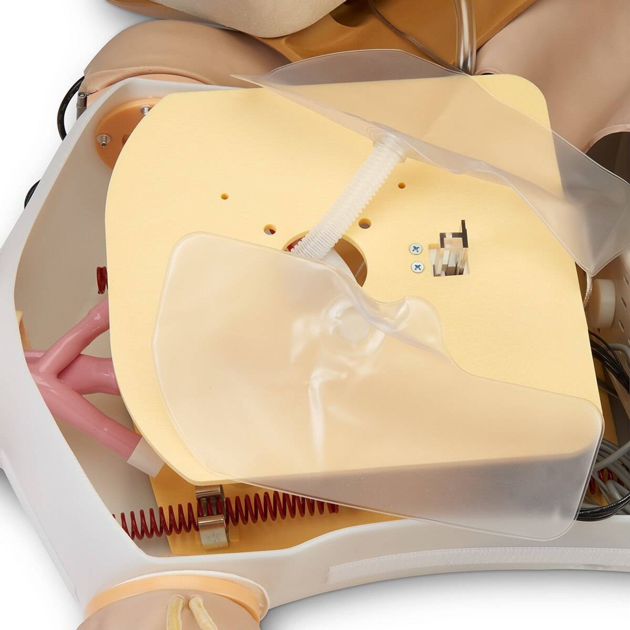 Life/form Deluxe Plus CRiSis Manikin with Advanced Airway Management, CPR Metrix, and iPad