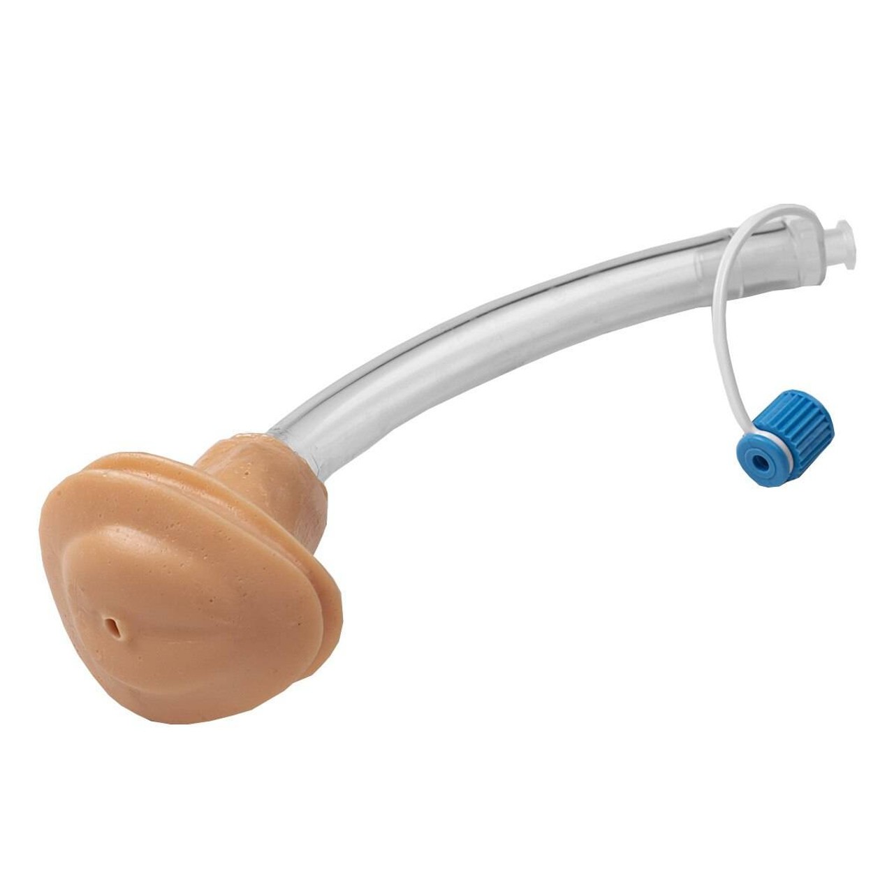 Life/form Replacement Genital Insert for Infant Catheterization Trainer - Female