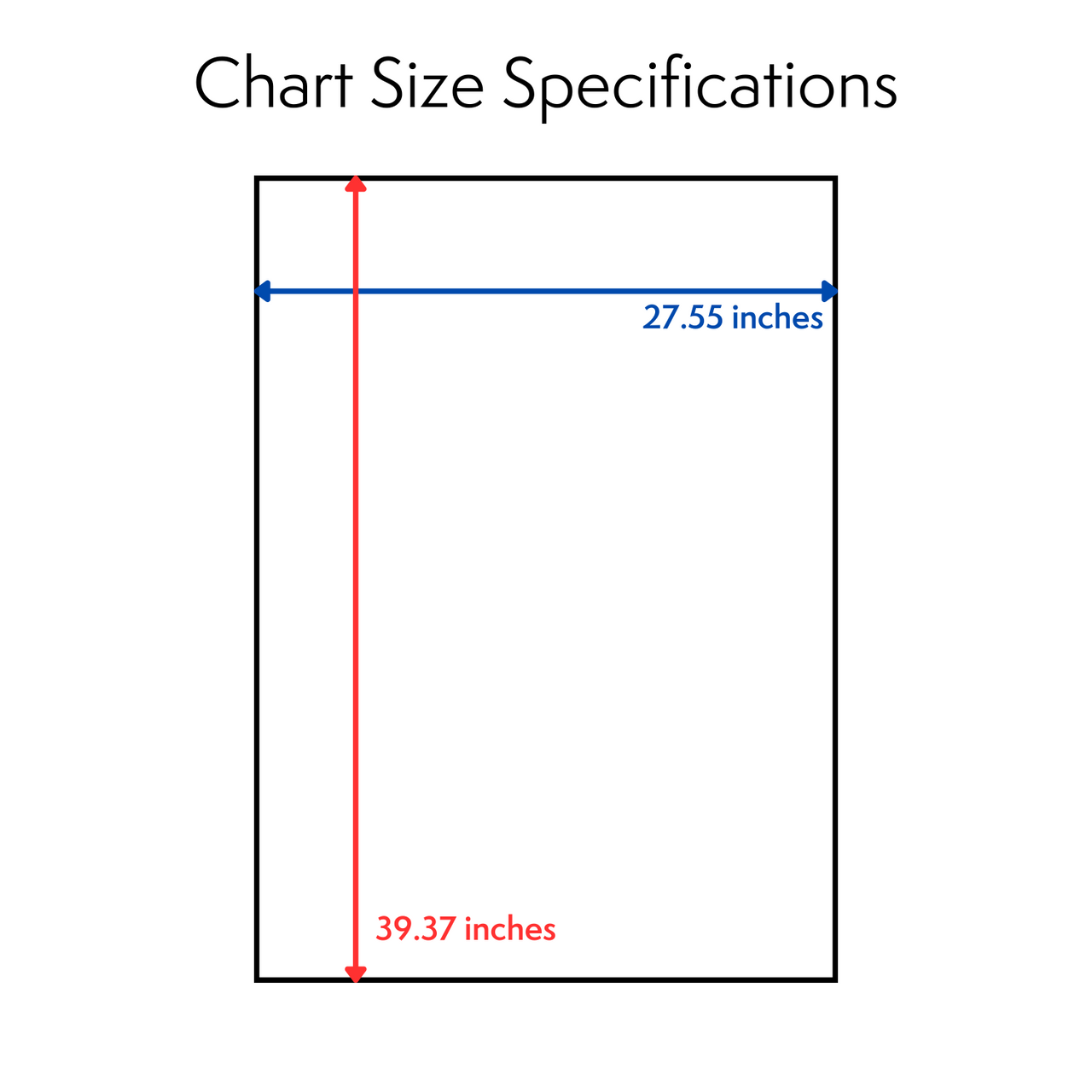 The Female Breast Laminated Anatomy Chart