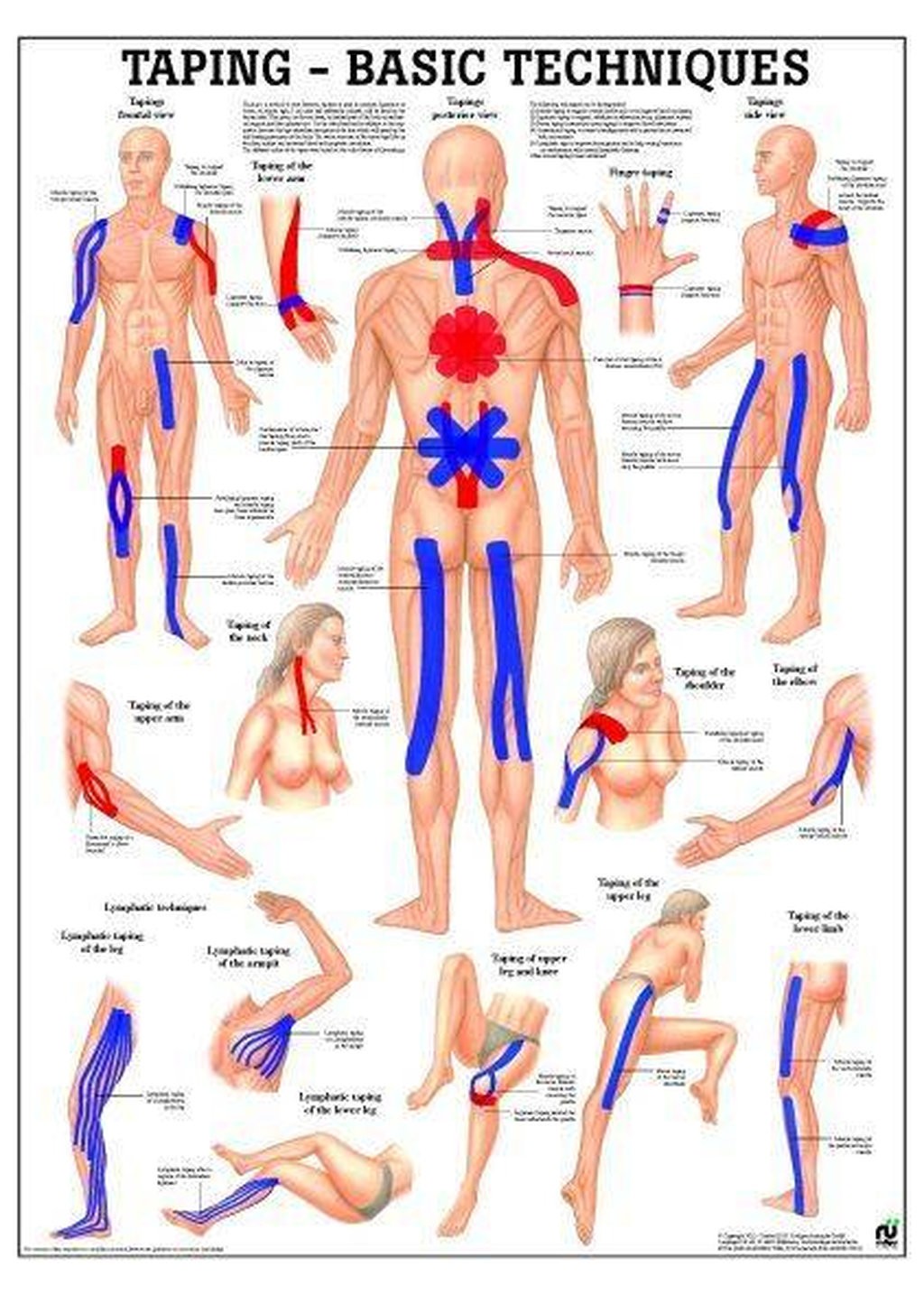 Taping Laminated Fitness Poster