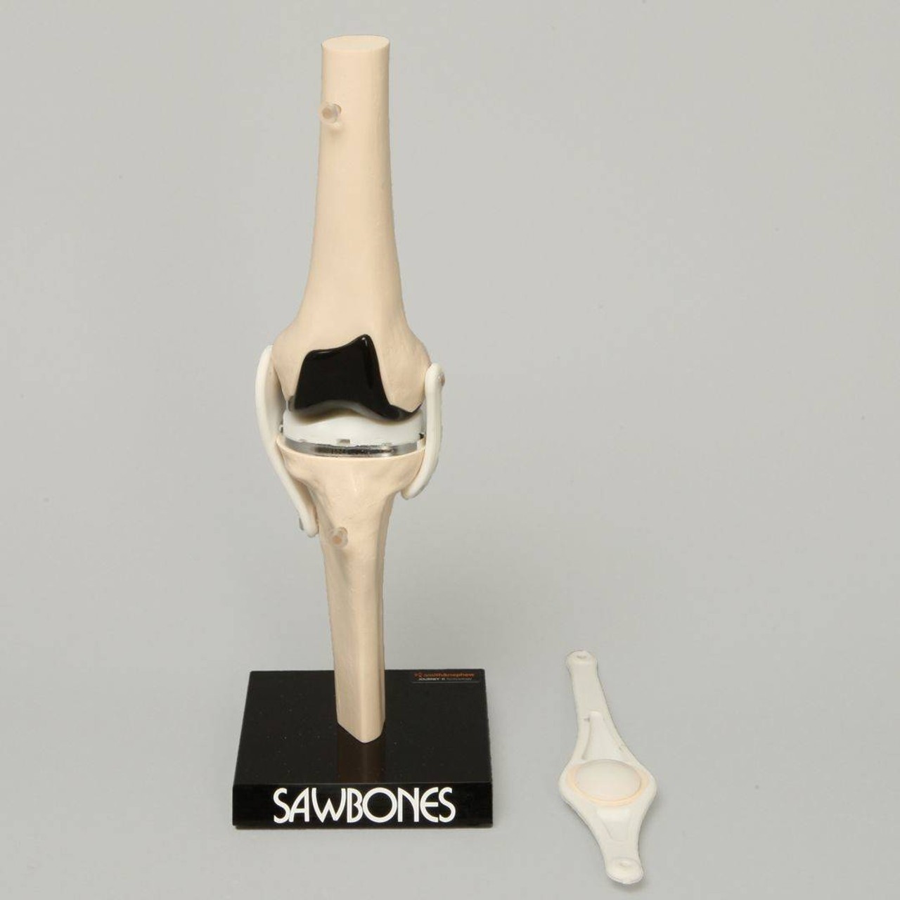 Total Knee Modular Demonstrator