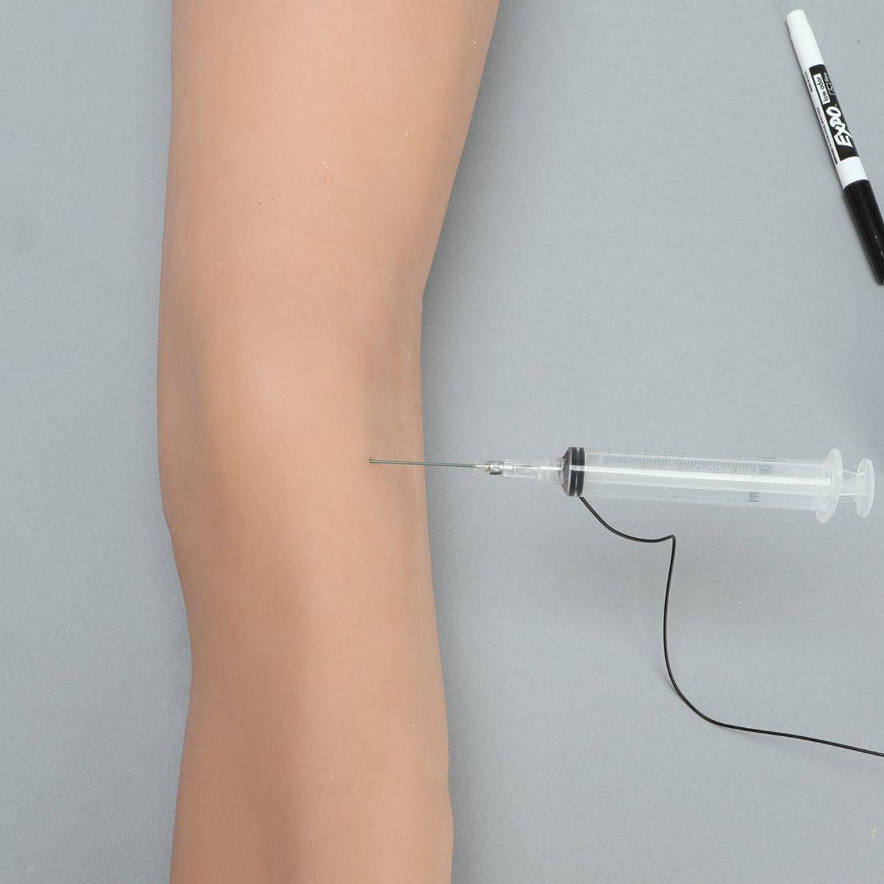 Soft Tissue Knee Injection Model with Skin