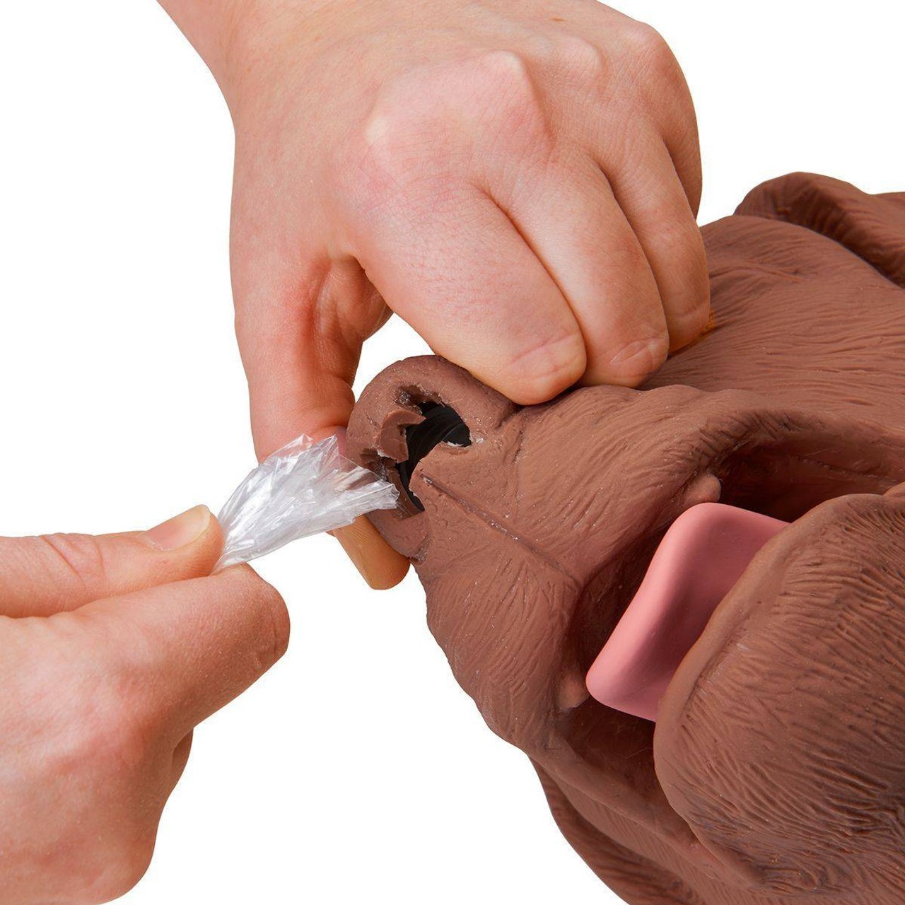 Casper The CPR Dog Trainer Simulator