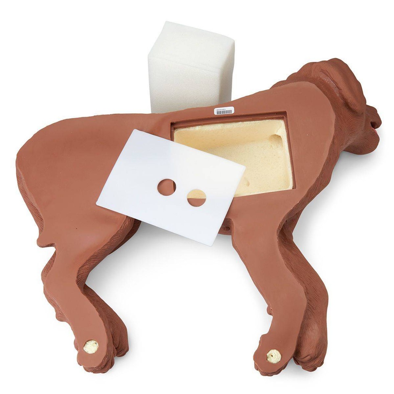 Casper The CPR Dog Trainer Simulator
