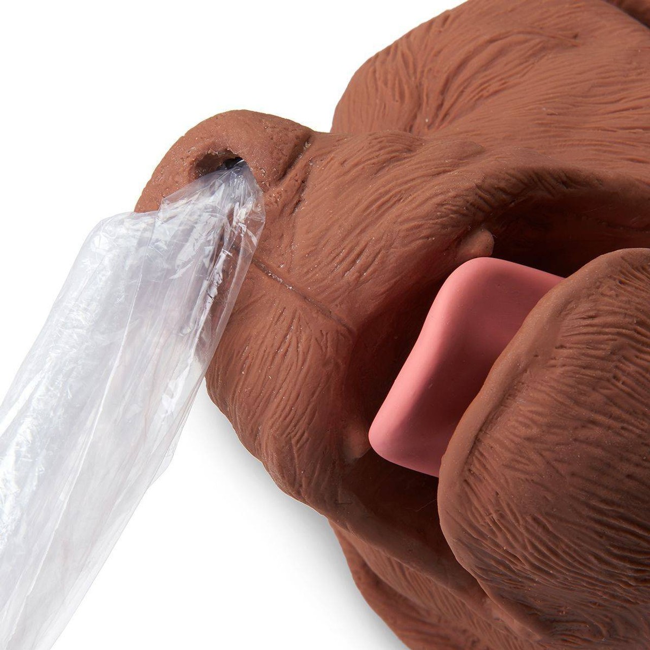 Casper The CPR Dog Trainer Simulator