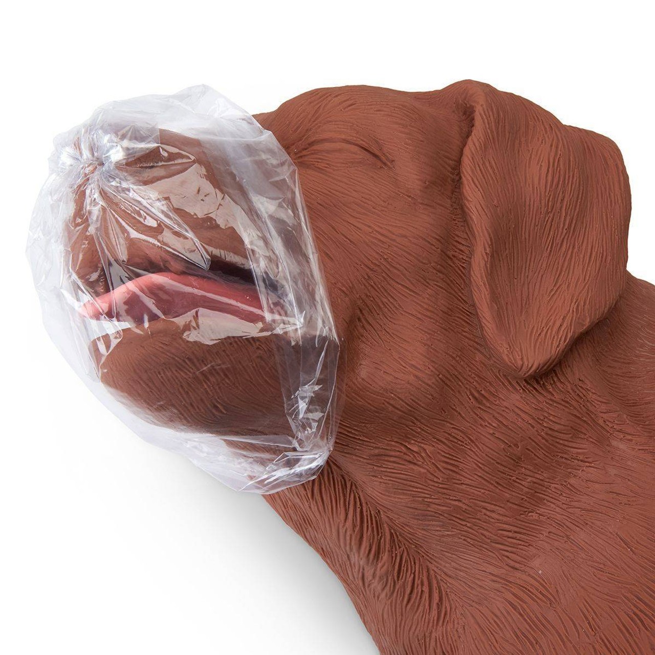 Casper The CPR Dog Trainer Simulator