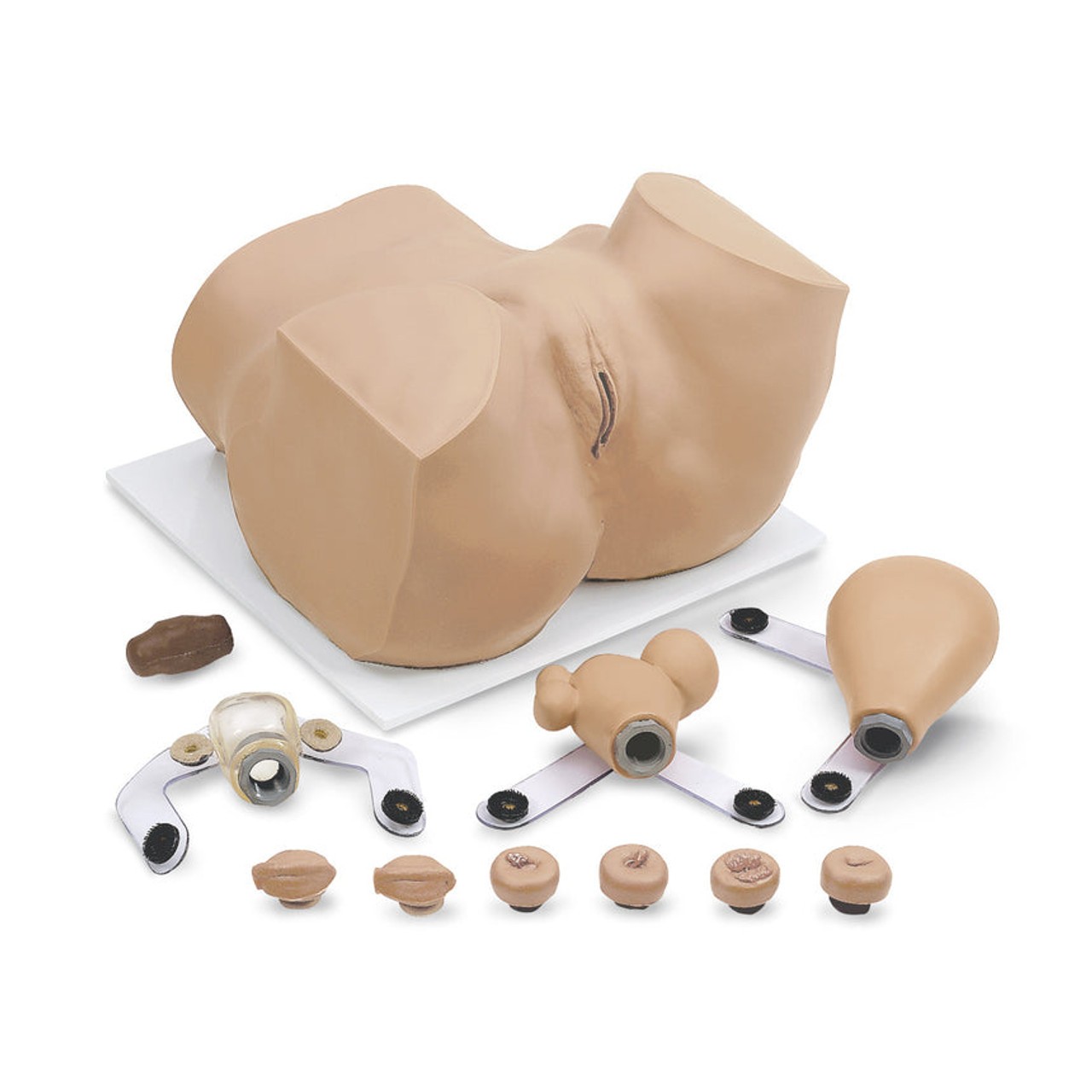 Eva Gynecologic Manikin with all components displayed.