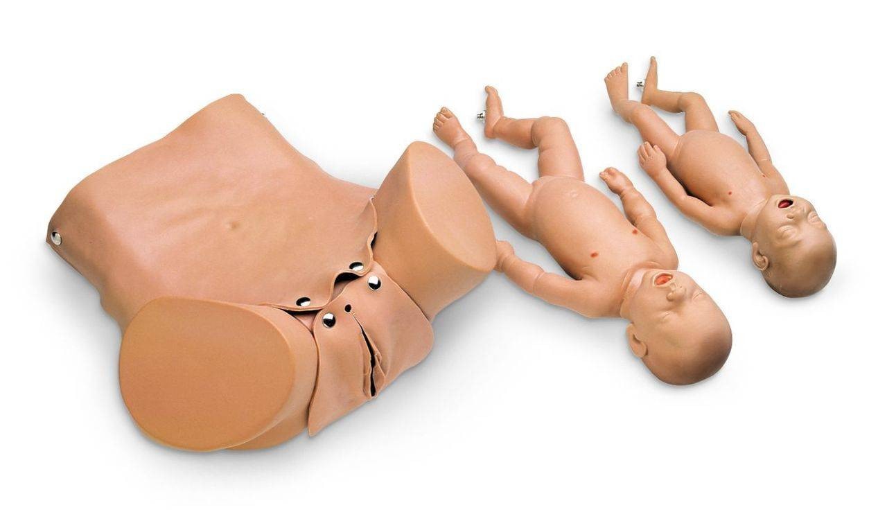 Forceps/Vacuum Delivery Ob Manikin Simulator