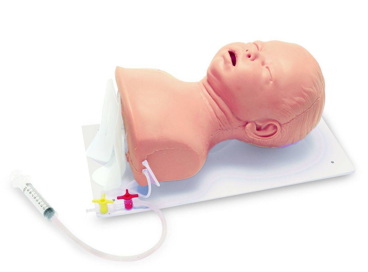 Deluxe Infant Airway Trainer Simulator