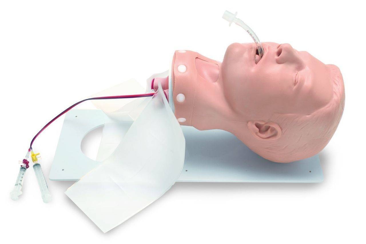 Deluxe Adult Airway Management Head Model