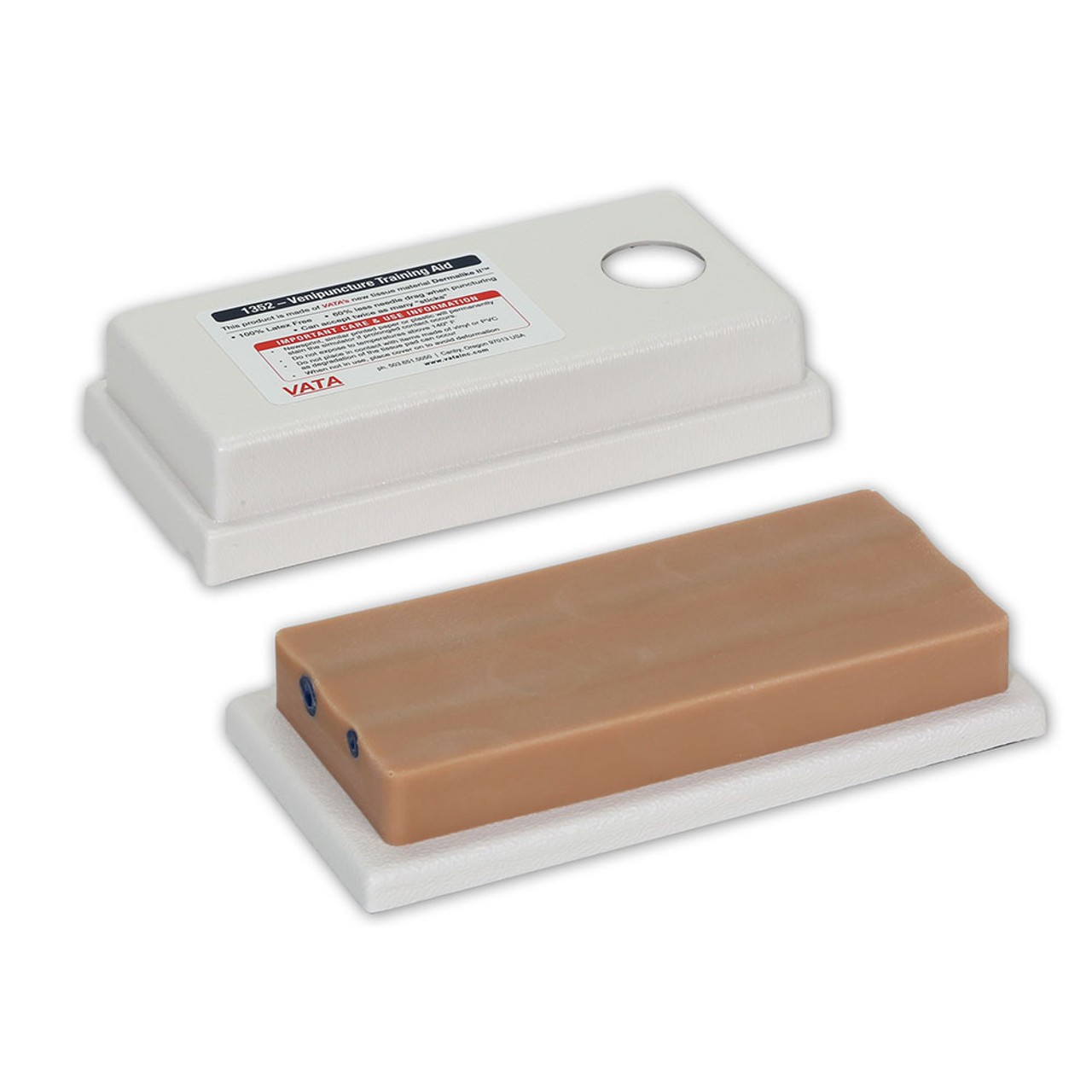 Two-Vein Venipuncture Training Aid - Latex Free Dermalike