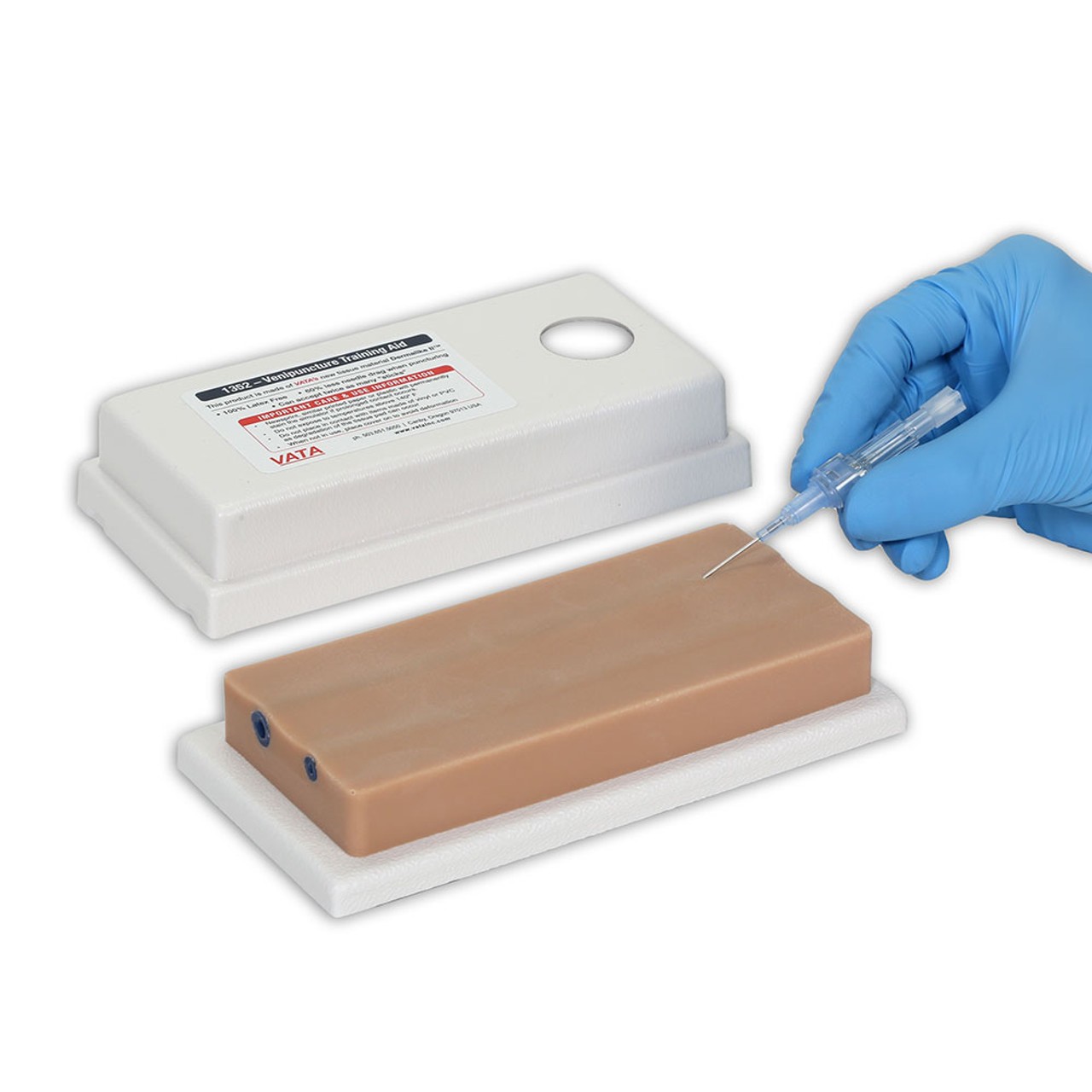 Two-Vein Venipuncture Training Aid - Latex Free Dermalike