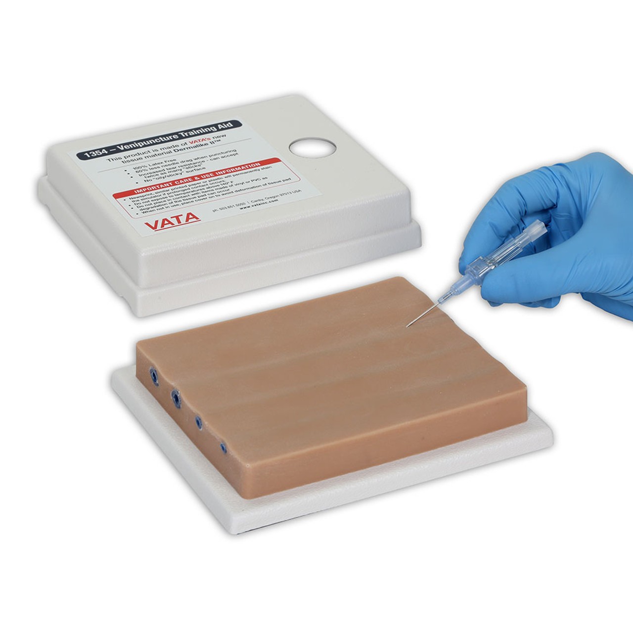 Four-Vein Venipuncture Training Aid - Latex Free Dermalike