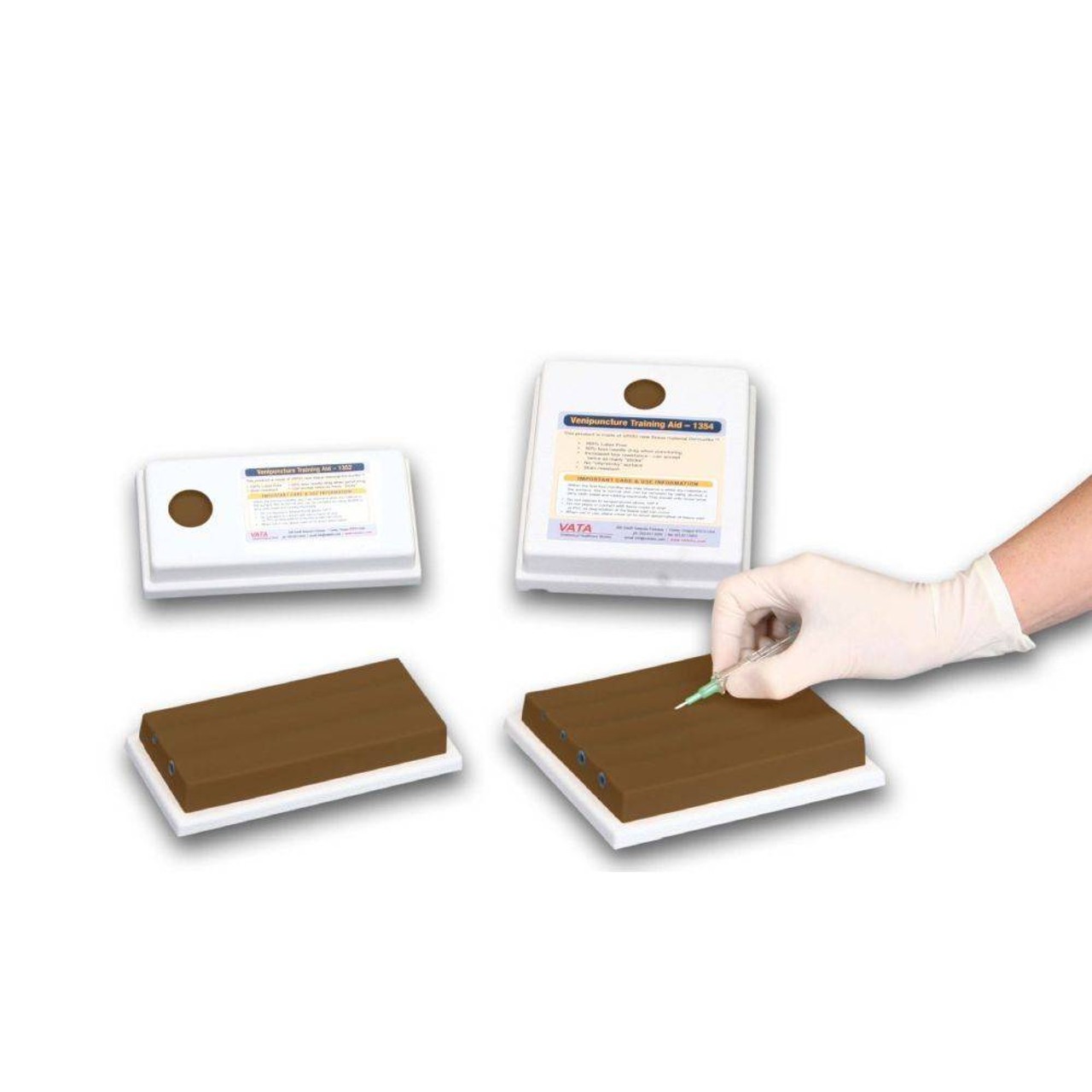Four-Vein Venipuncture Training Aid - Latex Free Dermalike, Darkly Pigmented