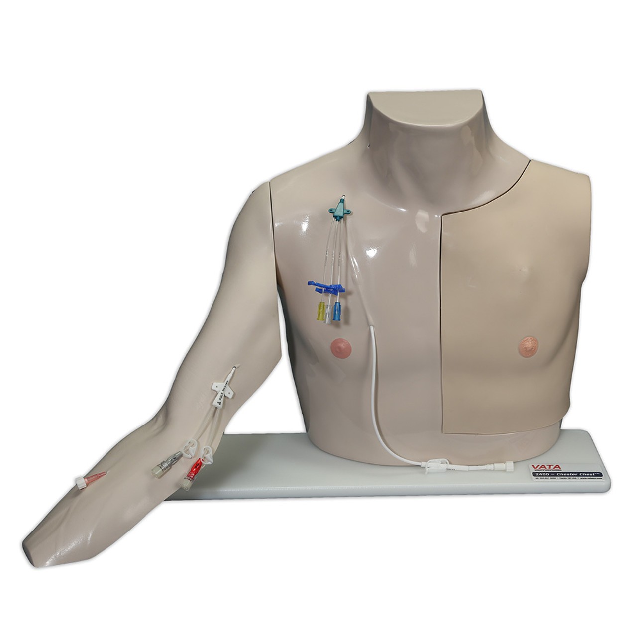 VATA Chester Chest, Lightly Pigmented | Anatomy Warehouse