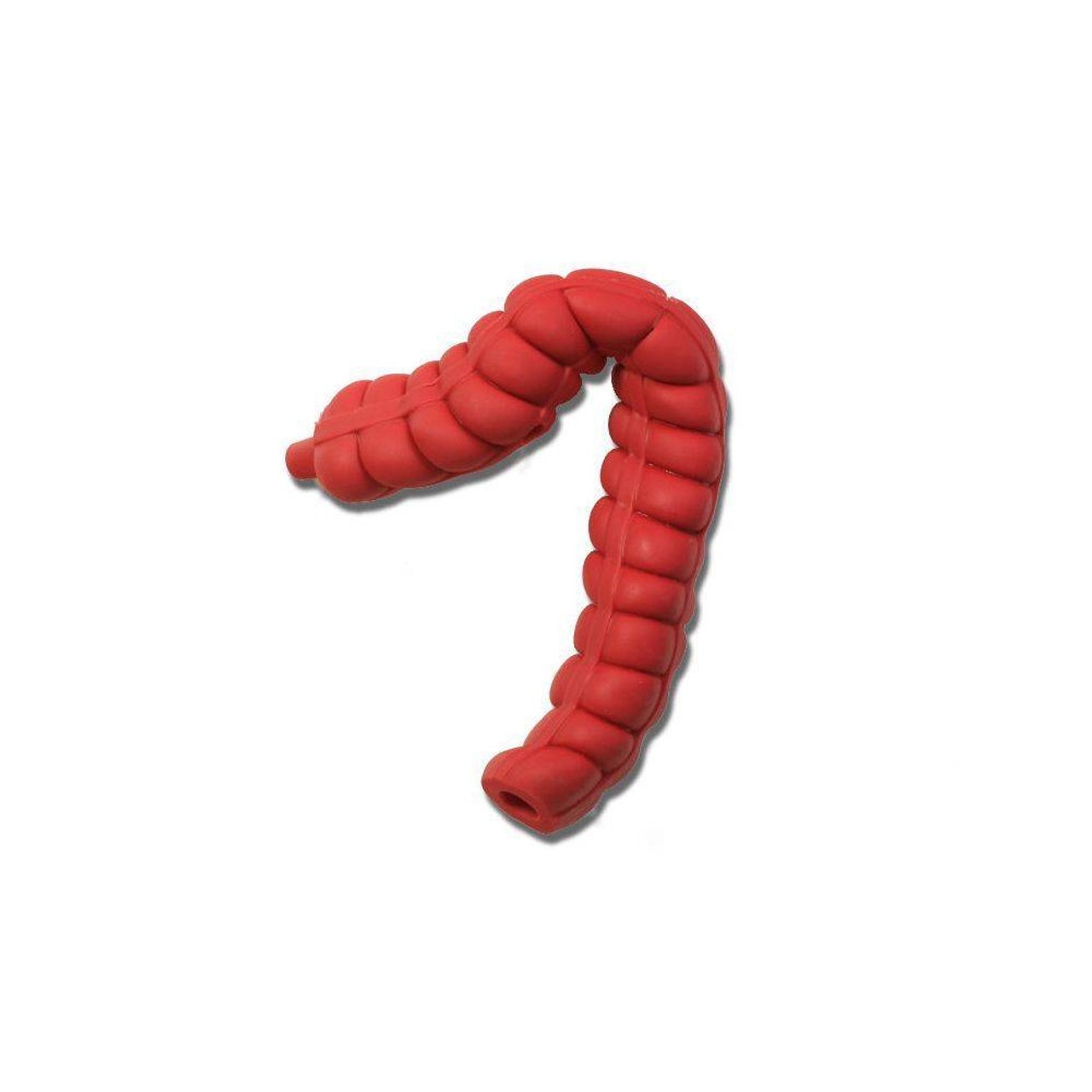Transverse/Descending Large Intestine