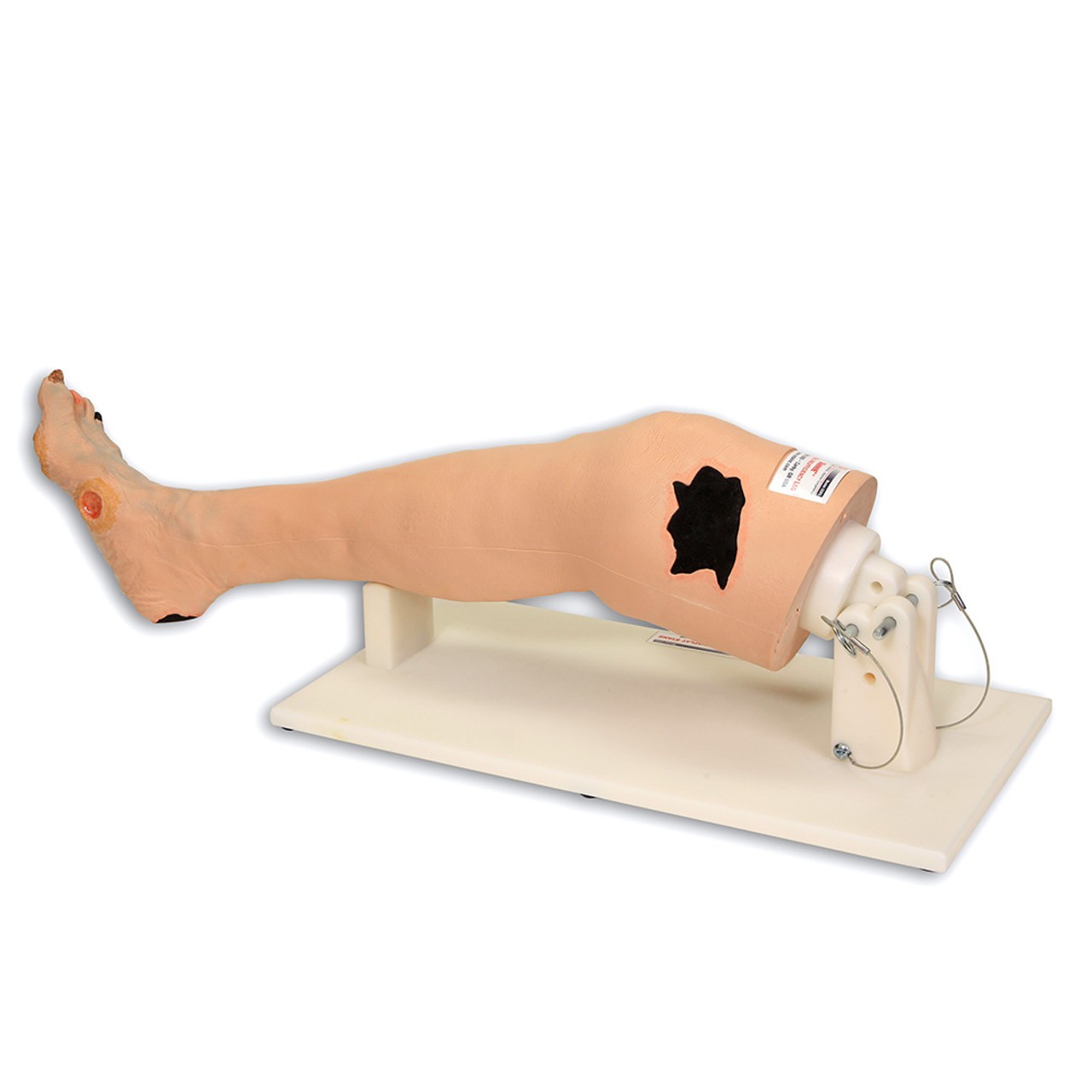 Annie Arterial Insufficiency Leg Model