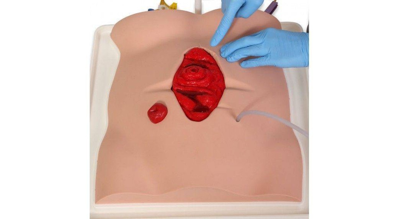 Freddie Fistula Skills Trainer